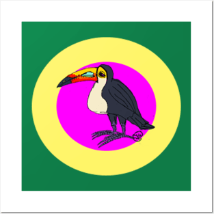 Miss Toucan Posters and Art